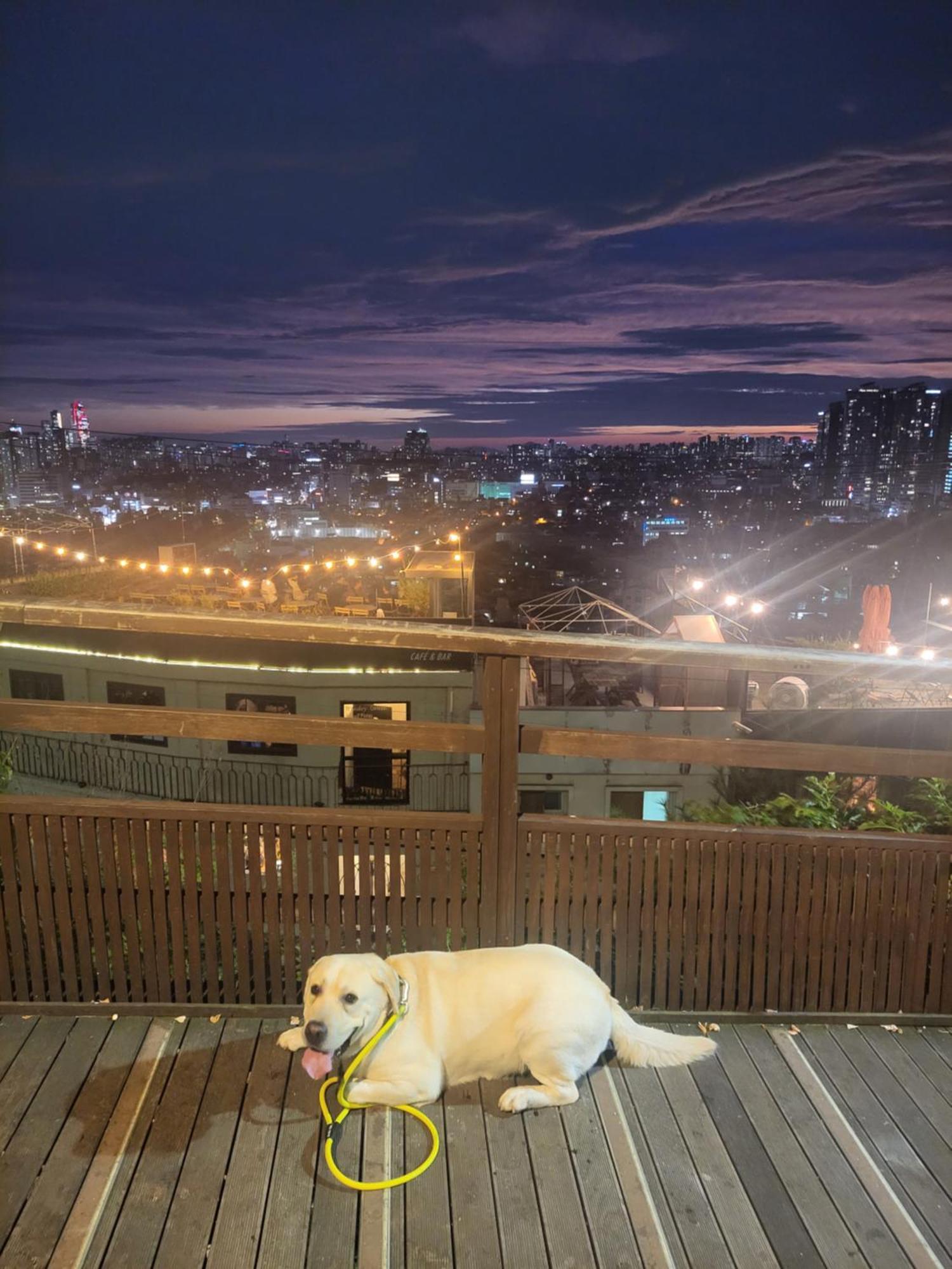 Brand New 2 Bedroom Apartment #6 Seoul Exterior foto
