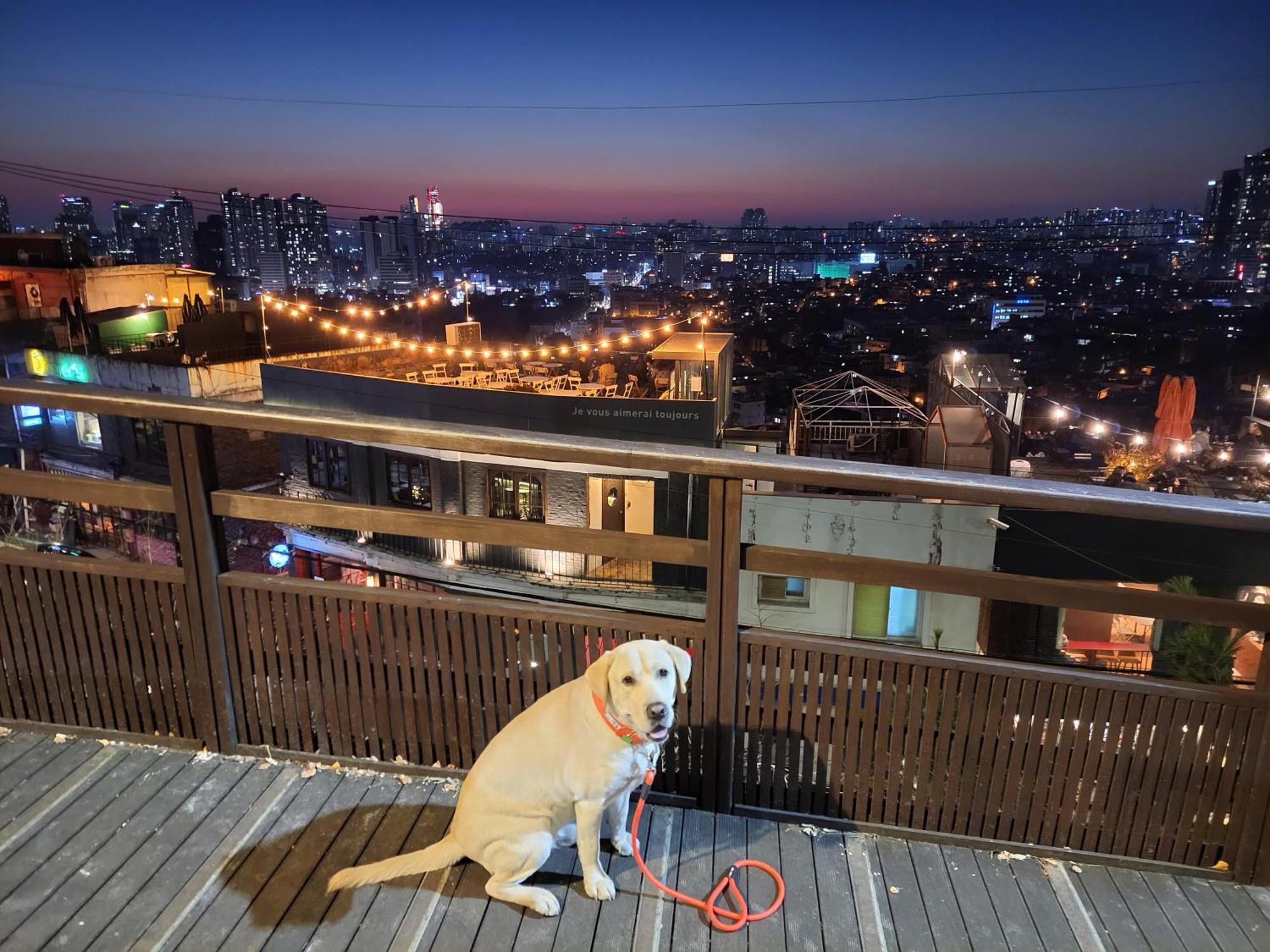 Brand New 2 Bedroom Apartment #6 Seoul Exterior foto