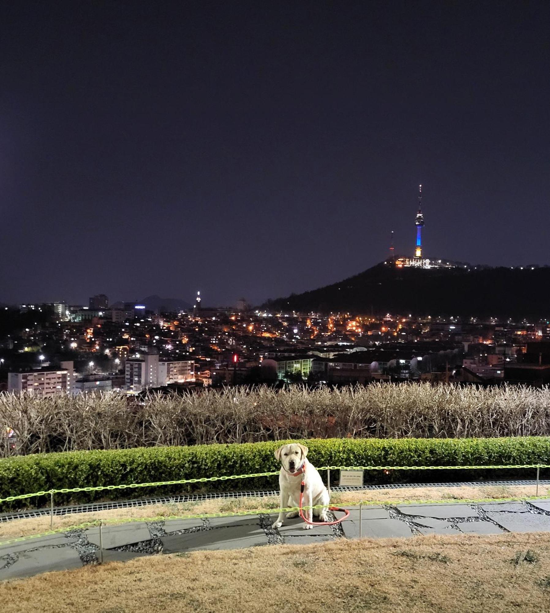 Brand New 2 Bedroom Apartment #6 Seoul Exterior foto